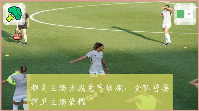 都灵主场力战意甲劲旅，全队誓要捍卫主场荣耀