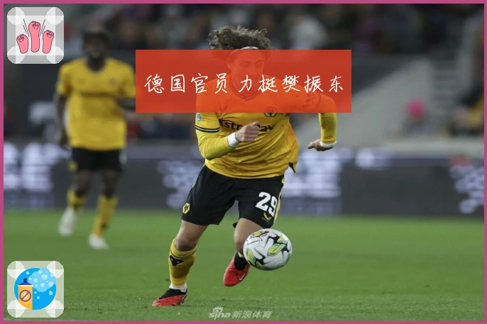 德国官员力挺樊振东