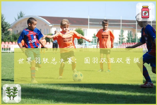世界羽联总决赛：国羽双混双晋级