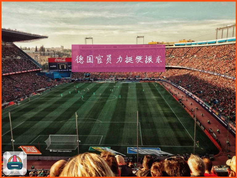 德国官员力挺樊振东